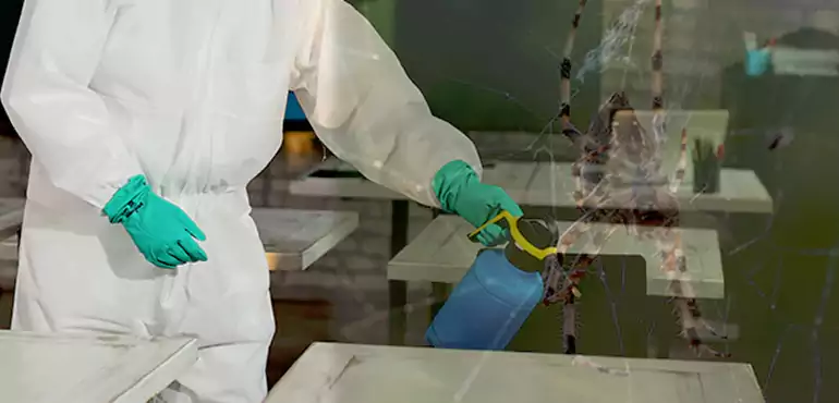Why Buyers Still Want Homes With Pest Infestations in Fort Lauderdale, FL?
